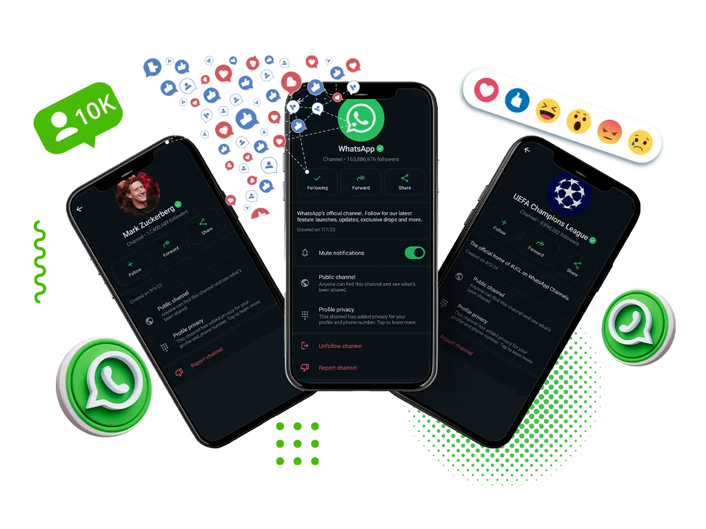 Image showing WhatsApp Followers highlights